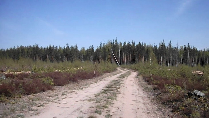 Александр Веревкин.
Из проекта «2,31 метра в секунде».
2014.
Кадр из видео.
Предоставлено автором