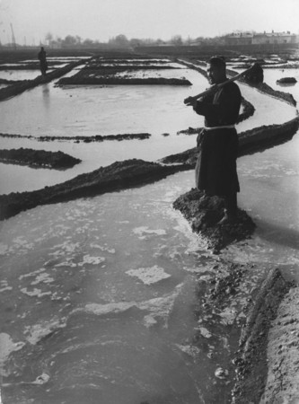Max Penson.
Soil irrigation. Storage filed.
1937.
Collection of the museum “Moscow House of Photography”