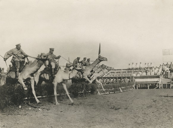 Unknown author
Before the British came. Camels in a African “Grand National”, 1914-1915.