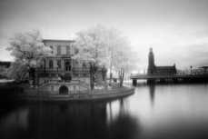 Invisible worldInfrared photography