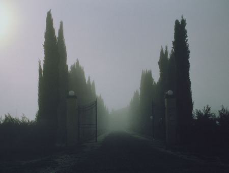 Valery Sirovsky.
Toscana.
2005.
Collection Moscow House of Photography Museum