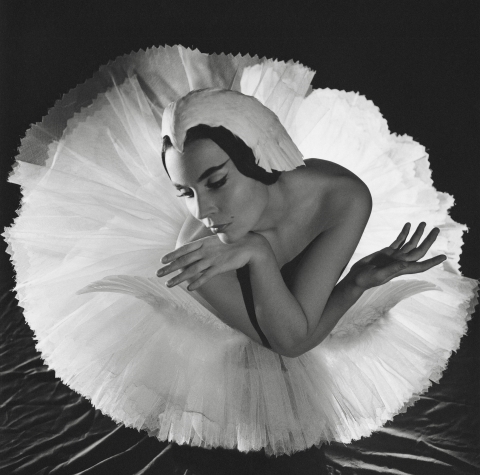 World ballet stars in the lens of the legendary Serge Lido. 1930-1980s