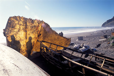 Alex Milovsky.
Chukotka. Sireniki. Boat Made of Walrus Skin. 
1992. 
Color photography, C-print hp DesignJet 5000