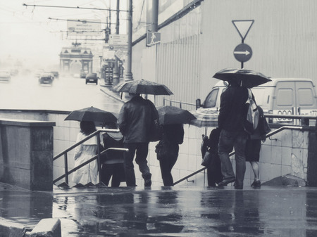 Из серии «Дождь в городе»