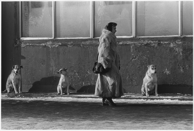 Vladimir Bogdanov. The fur coat made in China. Moscow, 1993 Multimedia Art Museum, Moscow