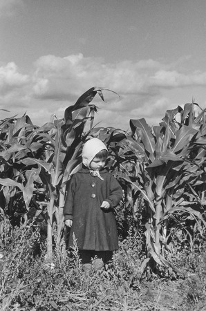Валерий Генде-Роте.
Таня и кукуруза. Подмосковье. 
1955. 
Частное собрание