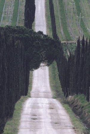 Vladimir Grevi.
Toscana.
2003.
Collection Moscow House of Photography Museum