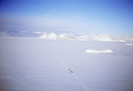 Палл Стефанссон.
Собачья упряжка. 
1997. 
Гренландия