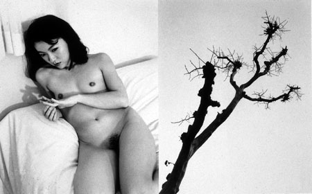 Nobuyoshi Araki.
“Naked Models in Tokyo” series. 
1989