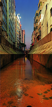Naoya Hatakeyama. River Series #4. 1993. Chromogenic colour print. Collection de la Maison Européenne de la Photographie, Paris. Donation de la société Dai Nippon Printing Co. Ltd. Tokyo, Japon