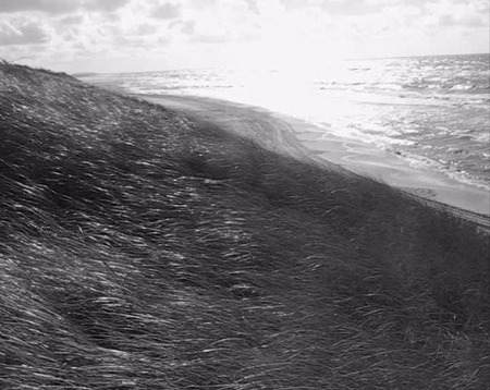 Александр Никипорец.
Из проекта «Море волнуется раз…». 
2006. 
Видео, 8 мин. 
© Александр Никипорец