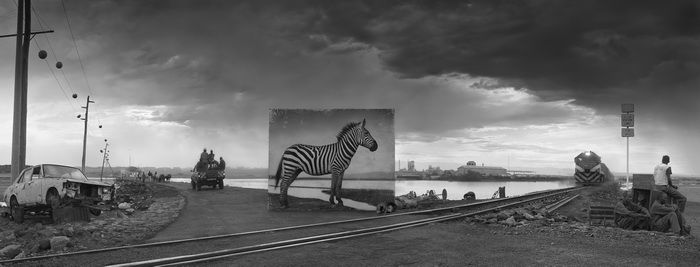 Nick Brandt.
Road to factory with zebra, 2014
© Nick Brandt
