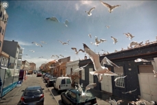 9-Eyes of Google Street View