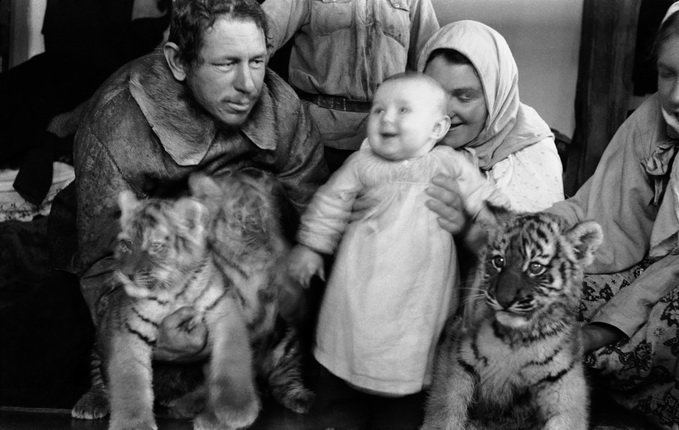 Yamazoe Saburo.
Anisim Ivanovich Kalugin showing captured tiger cubs to his wife Elena Isaevna and daughter Irina. 
Romanovka village, Manchuria.
1938–41.
Arseniev State Museum of Primorsky Region in Vladivostok