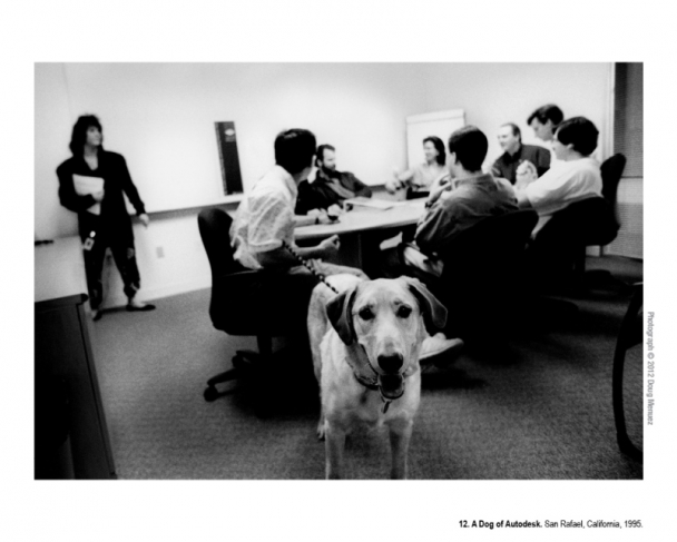 A Dog of Autodesk. San Rafael, California, 1995