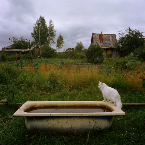 Alexey Orlov. From the project 