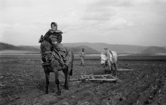 Yamazoe Saburo.
Harrowing. Lena Anufrieva is the drover on Burka the horse, her father Yakov Konstantinovich is in the distance with Sivka the horse. 
Romanovka village, Manchuria.
1938–41.
Arseniev State Museum of Primorsky Region in Vladivostok