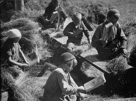 Leonid Shokin.
Preparation of Flax Seeds. 
1930. 
S.Burasovsky’s collection