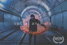 Социальные животные / Social animals