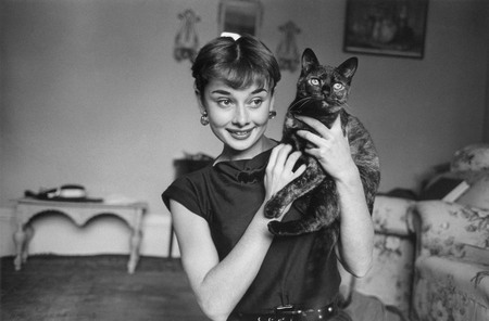 Walter Carone.
Audrey Hepburn. 
Presented by European House of Photography, Paris