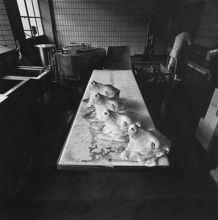 Patriсia Mussa.
From the series “Abattoirs”. 
Author's collection, Italy