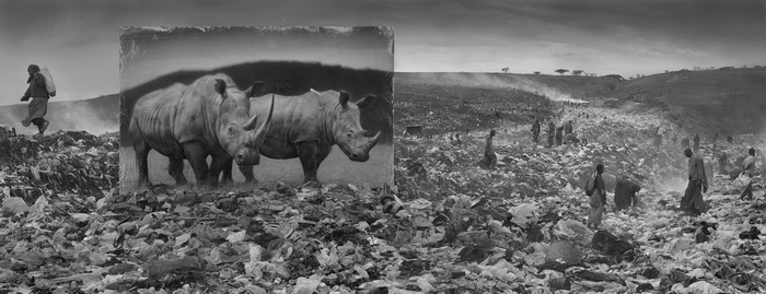 Nick Brandt.
Wasteland with rhinos, 2015
© Nick Brandt