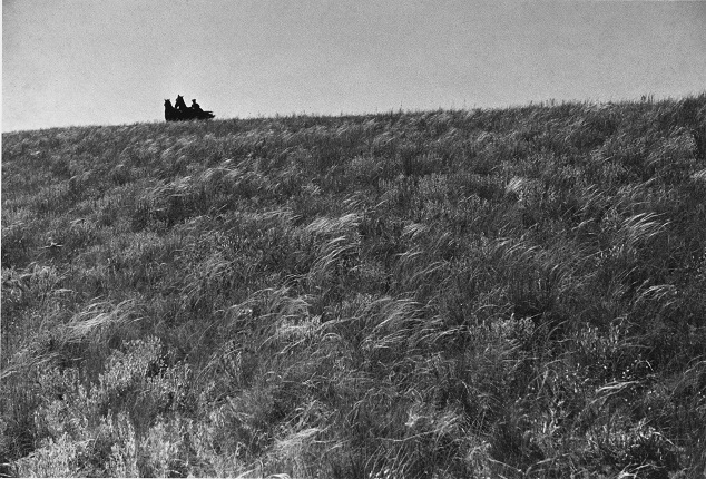 Mikhail Prehner. In the steppe. For the book 