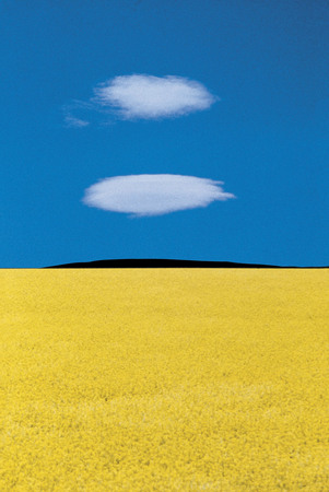 Franco Fontana.
Puglia, Italy. 
1978.
Collection of the artist, Italy