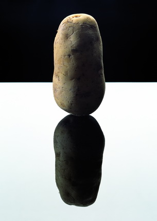 Potato, 2003.
© Anuschka Blommers en Niels Schumm