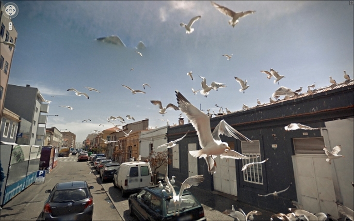 Jon Rafman.
From the ‘9-Eyes of Google Street View’ project by Jon Rafman, 2008–2012.
Digital print.
Jon Rafman’s collection, Montreal