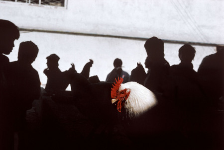 Георгий Пинхасов.
Узбекистан. Ташкент. Рынок. 
1992. 
© Gueorgui Pinkhassov, Magnum Photos