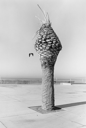 Henry Wessel.
Santa Monica, 1988.
© The Estate of Henry Wessel, courtesy Galerie Thomas Zander, Cologne
