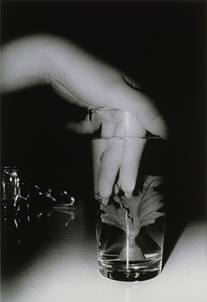 Daido Moriyama. Untitled. 1988. Silver gelatin print. Collection de la Maison Européenne de la Photographie, Paris. Donation de la société Dai Nippon Printing Co. Ltd. Tokyo, Japon