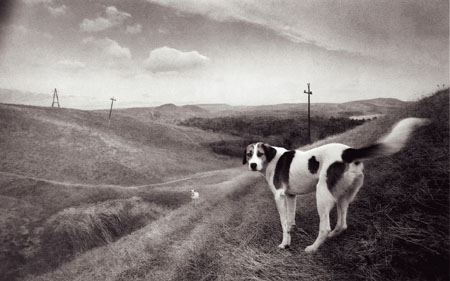 Yuri Brodskiy.
Koktebel. 
1992. 
Collection of the Moscow House of Photography