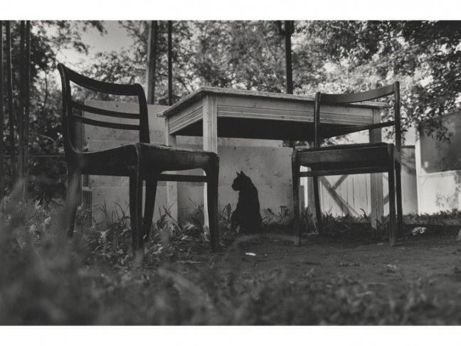 Natalia Bogdanovich, Sergei Pushkin.
Untitled. From the ‘Cats in the City of Grodno’ series.
Grodno, Belarus.
2006—2007
Gelatin silver print
Collection of the Multimedia Art Museum, Moscow