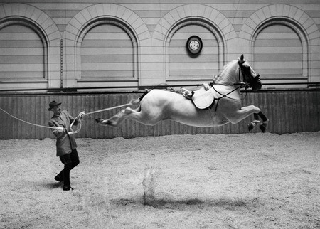 Hans Hammarskiöld.
Spanish Ride school, King stables. Stockholm. 
1952. 
© Hans Hammarskiold